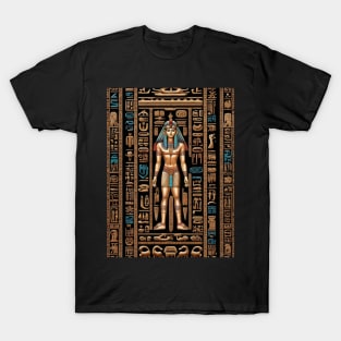 Egyptian hieroglyphs T-Shirt